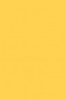Art Spectrum:  Prisma Favini 220gsm Cedro/Giallo 02 A4 SHEET