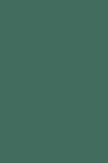 Art Spectrum:  Prisma Favini 220gsm Verde Pino 20 A4 SHEET