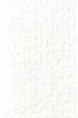 Old Holland Classic Watercolors: Highlighting Titanium White Half Pan