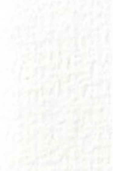 Old Holland Classic Watercolors: Highlighting Titanium White Half Pan
