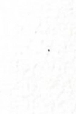 Old Holland Classic Watercolors: Opaque White Half Pan