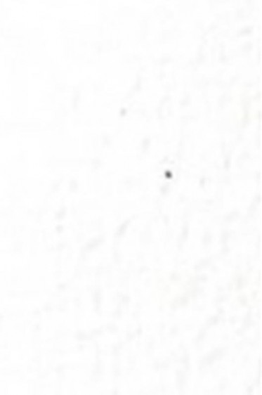 Old Holland Classic Watercolors: Opaque White Half Pan