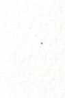 Old Holland Classic Watercolors: Opaque White Half Pan