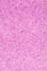 Old Holland Classic Watercolors: Cobalt Violet Light Half Pan