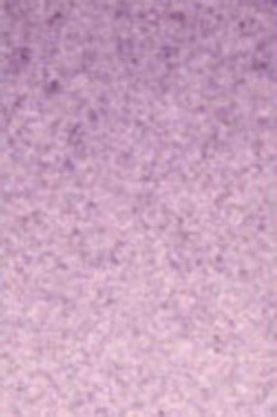 Old Holland Classic Watercolors: Cobalt Violet Dark Half Pan