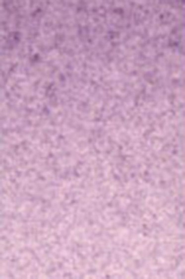 Old Holland Classic Watercolors: Cobalt Violet Dark Half Pan