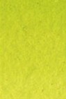 Old Holland Classic Watercolors: Cinnabar Green Light Extra Half Pan