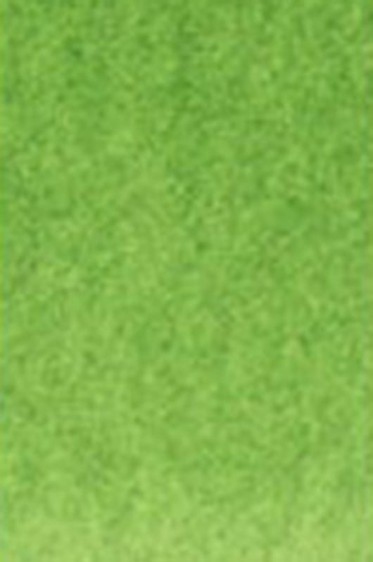 Old Holland Classic Watercolors: Cadmium Green Light  Half Pan