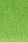 Old Holland Classic Watercolors: Cadmium Green Light  Half Pan