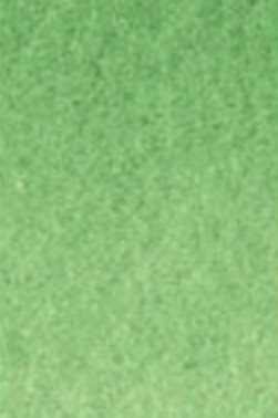 Old Holland Classic Watercolors: Cadmium Green Deep Half Pan