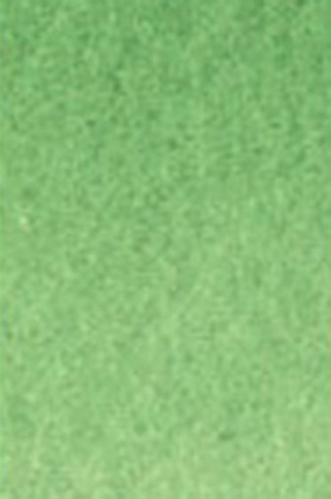 Old Holland Classic Watercolors: Cadmium Green Deep Half Pan