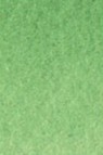 Old Holland Classic Watercolors: Cadmium Green Deep Half Pan