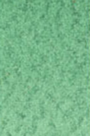 Old Holland Classic Watercolors: Viridian Green Light Half Pan
