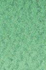 Old Holland Classic Watercolors: Viridian Green Light Half Pan