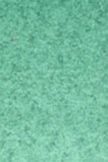 Old Holland Classic Watercolors: Viridian Green Deep Half Pan