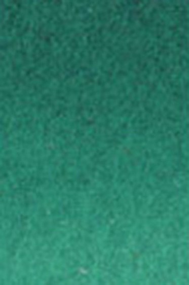 Old Holland Classic Watercolors: Scheveningen Green Deep Half Pan