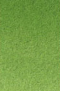 Old Holland Classic Watercolors: Chromium Oxide Green Half Pan