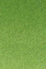 Old Holland Classic Watercolors: Chromium Oxide Green Half Pan