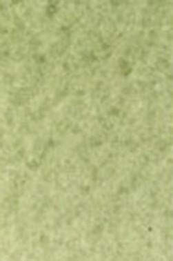 Old Holland Classic Watercolors: Green Earth Half Pan