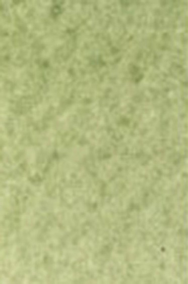 Old Holland Classic Watercolors: Green Earth Half Pan