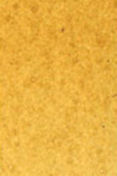 Old Holland Classic Watercolors: Yellow Ochre Light Half Pan