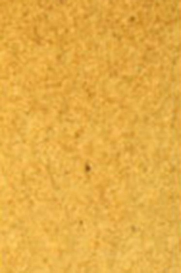 Old Holland Classic Watercolors: Gold Ochre Half Pan