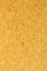 Old Holland Classic Watercolors: Gold Ochre Half Pan