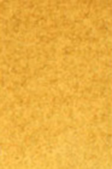 Old Holland Classic Watercolors: Raw Sienna Light Half Pan