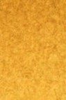Old Holland Classic Watercolors: Raw Sienna Deep Half Pan
