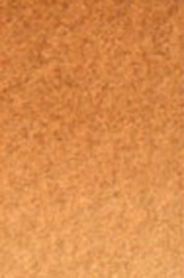 Old Holland Classic Watercolors: Brown Ochre Light Half Pan
