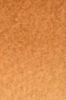 Old Holland Classic Watercolors: Brown Ochre Light Half Pan