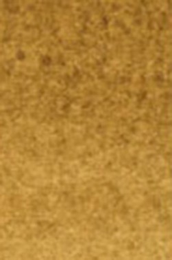 Old Holland Classic Watercolors: Raw Umber Half Pan