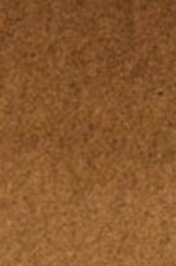 Old Holland Classic Watercolors: Warm Sepia Extra Half Pan