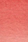 Old Holland Classic Watercolors: Rose Dore Madder Lake Antique Extra Half Pan