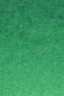 Old Holland Classic Watercolors: Permanent Green Deep Half Pan