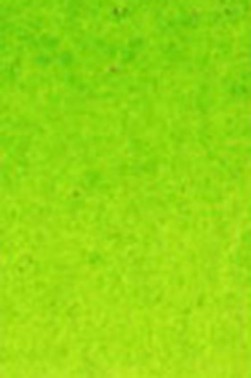 Old Holland Classic Watercolors: Old Holland Yellow Green Half Pan