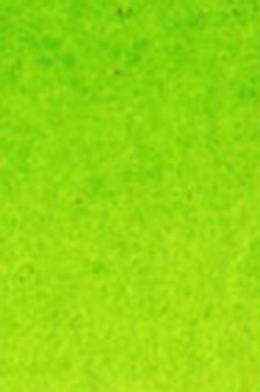 Old Holland Classic Watercolors: Old Holland Yellow Green Half Pan