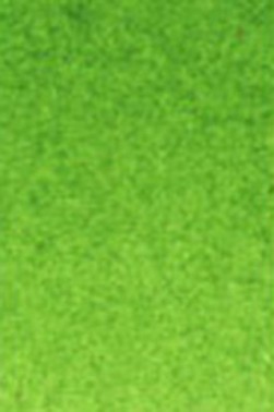 Old Holland Classic Watercolors: Permanent Green Half Pan