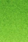 Old Holland Classic Watercolors: Permanent Green Half Pan