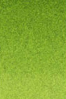 Old Holland Classic Watercolors: Sap Green Lake Extra Half Pan