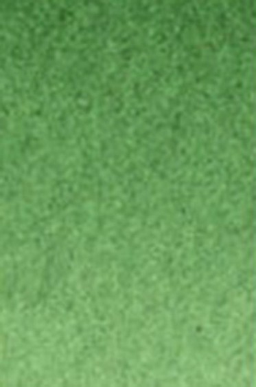 Old Holland Classic Watercolors: Hookers Green Lake Deep Extra Half Pan