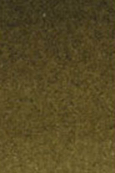 Old Holland Classic Watercolors: Olive Green Dark Half Pan
