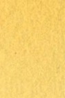 Old Holland Classic Watercolors: Naples Yellow Extra Half Pan