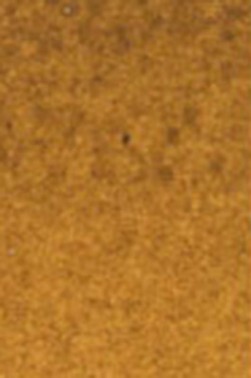 Old Holland Classic Watercolors: Italian Earth Half Pan