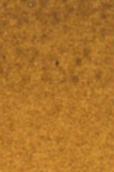 Old Holland Classic Watercolors: Italian Earth Half Pan