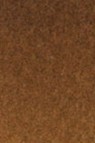 Old Holland Classic Watercolors: Sepia Extra Half Pan