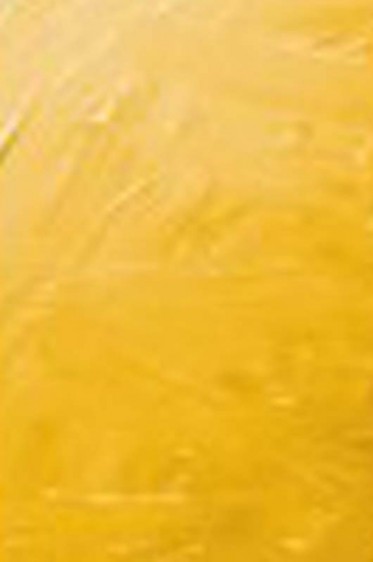 Grumbacher Academy Oil: Cadmium Yellow Light 37ml