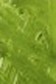 Grumbacher Academy Oil: Thalo Yellow Green 37ml