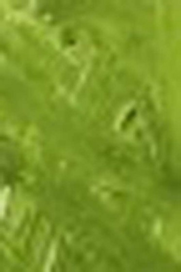Grumbacher Academy Oil: Thalo Yellow Green 37ml