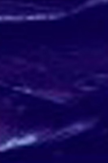 Grumbacher Pre-Tested Oil: Cobalt Violet Hue 37ml